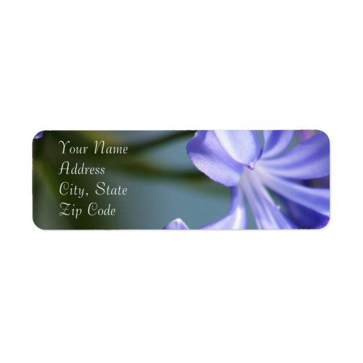 Agapanthus Flower Adresetiketten Etiket (Voorkant)