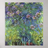 Agapanthus Flowers van Claude Monet Poster (Voorkant)