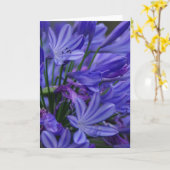 Agapanthus Kaart (Gele Bloem)