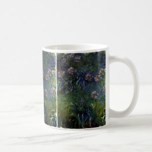 Agapanthus Koffiemok