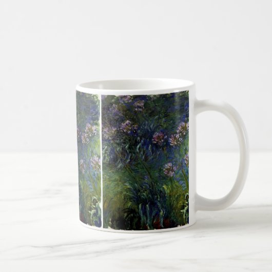 Agapanthus Koffiemok (Rechts)