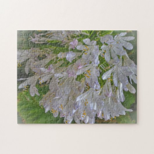  Agapanthus Lily Bloementuin puzzel (Horizontaal)