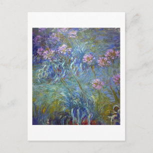 Agapanthus, Monet Briefkaart
