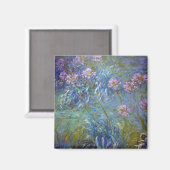 Agapanthus, Monet Magneet (Voorkant / Achterkant)