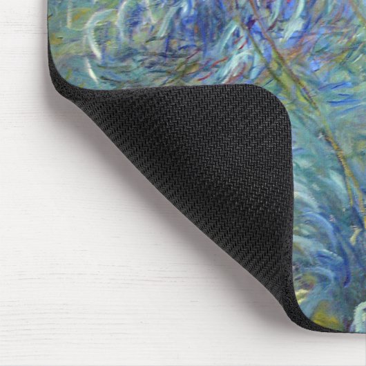 Agapanthus, Monet Muismat (Hoek)