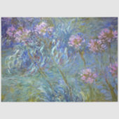Agapanthus, Monet Tissuepapier (Voorkant)