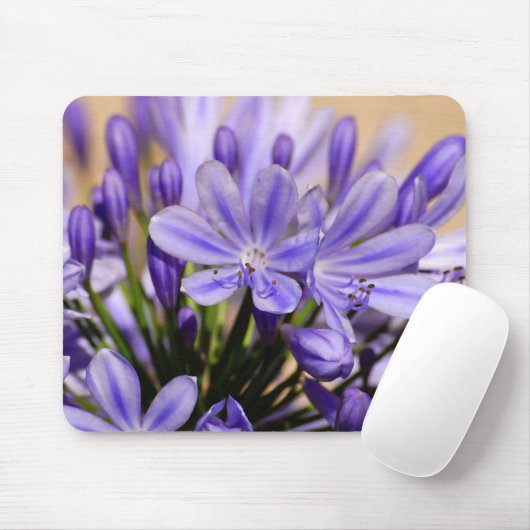 Agapanthus Muismat (Met muis)