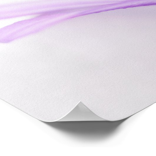 Agapanthus Poster (Hoek)