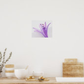 Agapanthus Poster (Keuken)