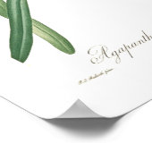 Agapanthus umbellatus poster (Hoek)