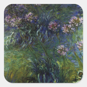 Agapanthus Vierkante Sticker