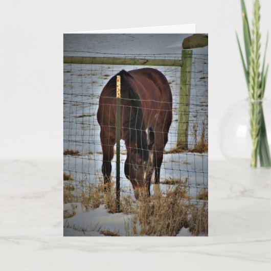 "Agape Acres" Verjaardagskaart Kaart (Voorkant)