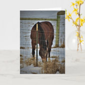 "Agape Acres" Verjaardagskaart Kaart (Gele Bloem)
