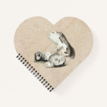 Agaricus Augustus Mushroom