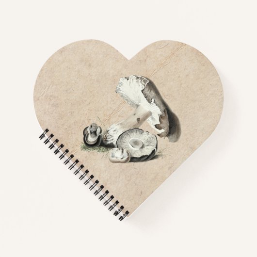 Agaricus Augustus Mushroom Notitieboek (Voorkant)