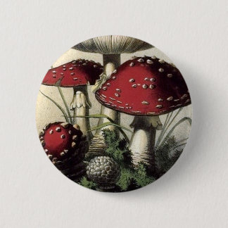 Agaricus Muscarius paddenstoel Ronde Button 5,7 Cm