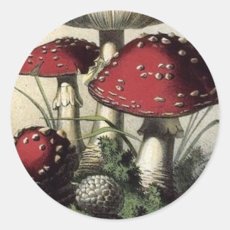 Agaricus Muscarius paddenstoel Ronde Sticker