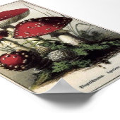 Agaricus muscarius paddenstoelen poster (Hoek)