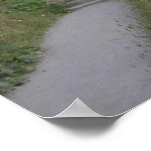 AGATE Beach Trail Poster (Hoek)