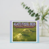 AGATE FOSSIL BEDS NATIONAL MONUMENT - NEBRASKA USA BRIEFKAART (Staand voorkant)