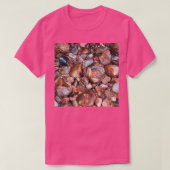 Agate Lake Superior T-shirt (Design voorkant)