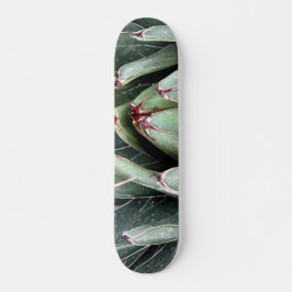 Agave Aloe Vera Plant Foto Schaats Persoonlijk Skateboard