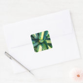 Agave Americana door Amy Vangsgard Vierkante Sticker (Envelop)