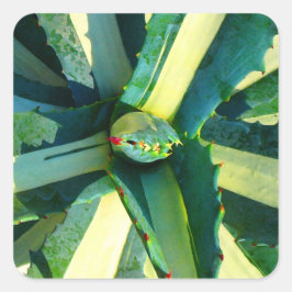 Agave Americana door Amy Vangsgard Vierkante Sticker