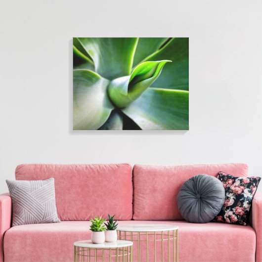 Agave Attenuata Canvas Afdruk (Insitu (Woonkamer))