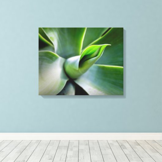 Agave Attenuata Canvas Afdruk (Insitu (Houten vloer))