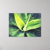 Agave Attenuata Canvas Afdruk (Voorkant)