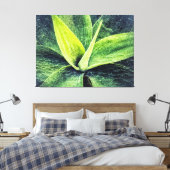 Agave Attenuata Canvas Afdruk (Insitu (Slaapkamer))