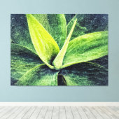 Agave Attenuata Canvas Afdruk (Insitu (Houten vloer))