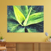 Agave Attenuata Canvas Afdruk (Insitu (Woonkamer))