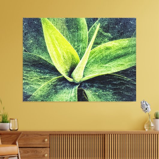 Agave Attenuata Canvas Afdruk (Insitu (Woonkamer))