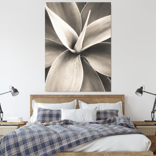 Agave attenuata canvas afdruk (Insitu (Slaapkamer))