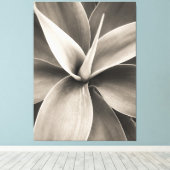 Agave attenuata canvas afdruk (Insitu (Houten vloer))