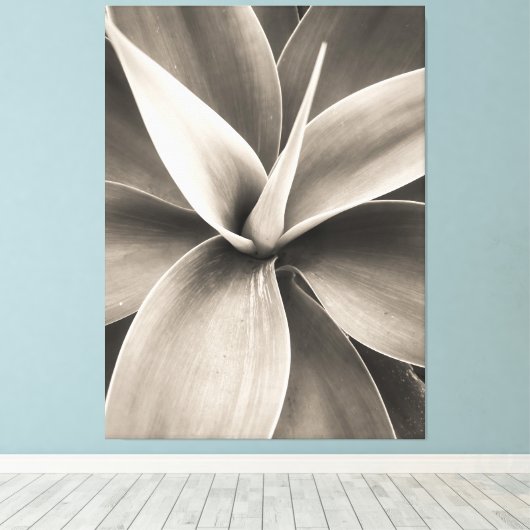 Agave attenuata canvas afdruk (Insitu (Houten vloer))