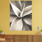 Agave attenuata canvas afdruk (Insitu (Woonkamer))