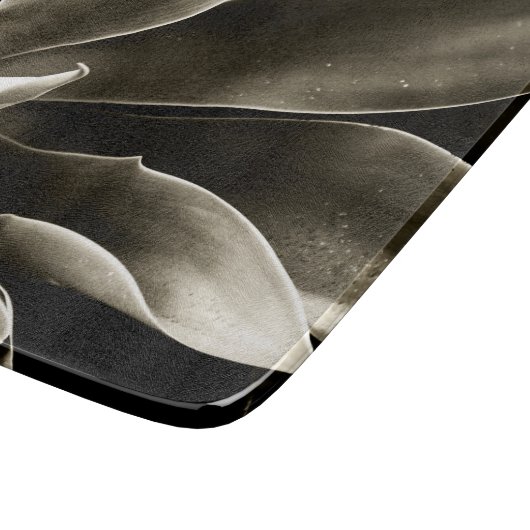 Agave Attenuata in Sepia Snijplank (Hoek)