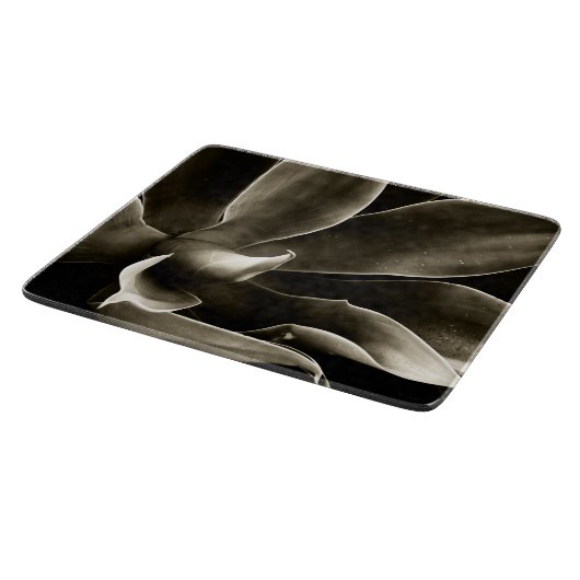 Agave Attenuata in Sepia Snijplank (Hoek)