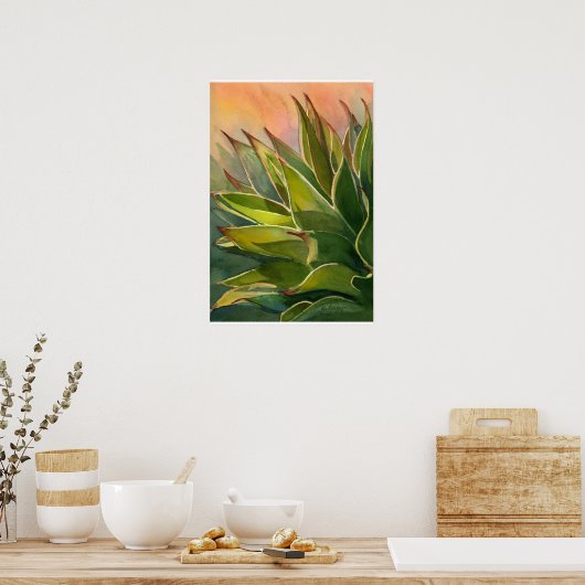 Agave attenuata poster (Keuken)