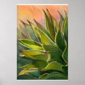 Agave attenuata poster (Voorkant)