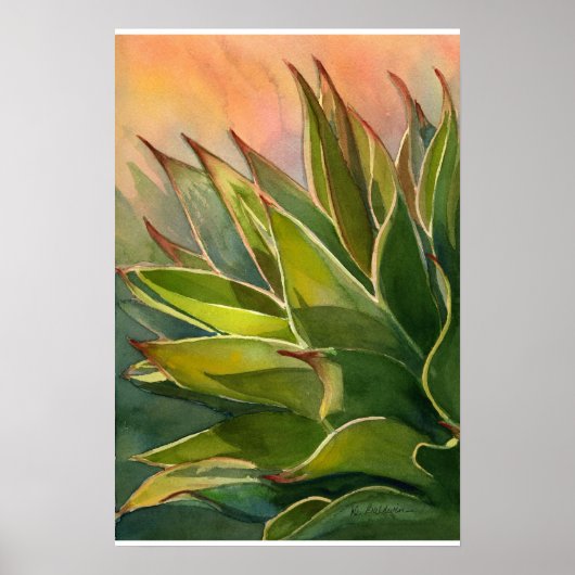 Agave attenuata poster (Voorkant)