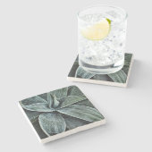 Agave Attenuata Stenen Onderzetter (Zijkant)