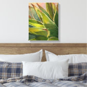 Agave attenuata waterverf door Debra Lee Baldwin Canvas Afdruk (Insitu (Slaapkamer))
