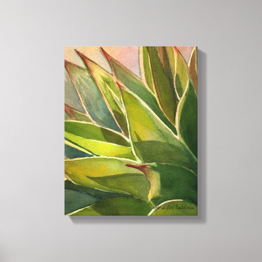 Agave attenuata waterverf door Debra Lee Baldwin Canvas Afdruk (Voorkant)