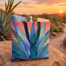 Agave bij zonsondergang