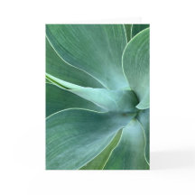 Agave Blank Note-Kaart