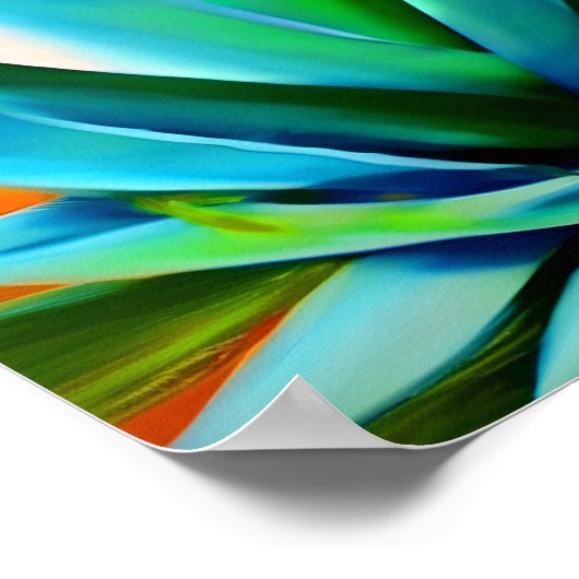 Agave blauw en groen plant poster (Hoek)